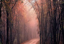 沙尔克双雄联袂建功，力克不来梅