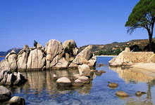 沙尔克双雄联袂建功，力克不来梅