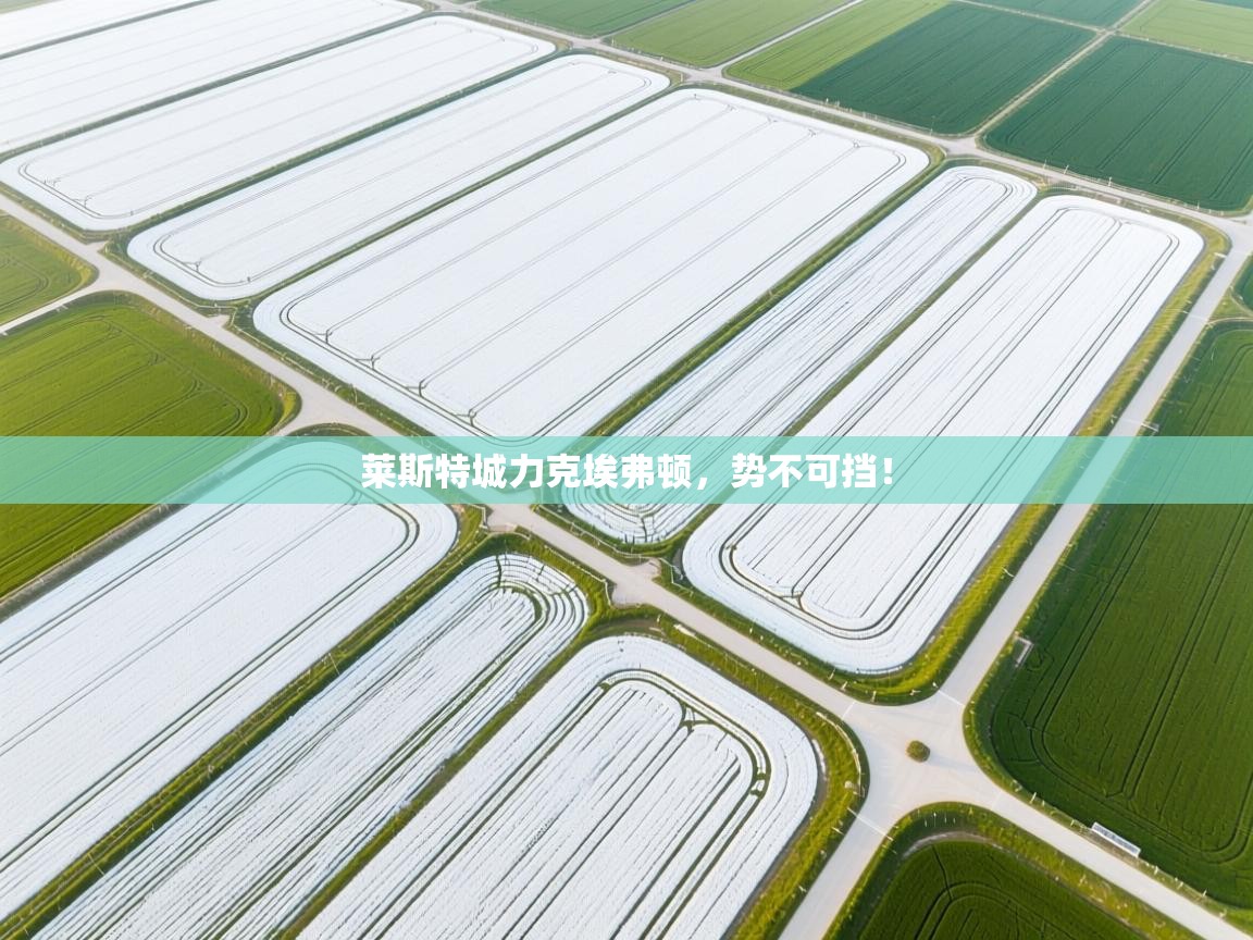 莱斯特城力克埃弗顿，势不可挡！