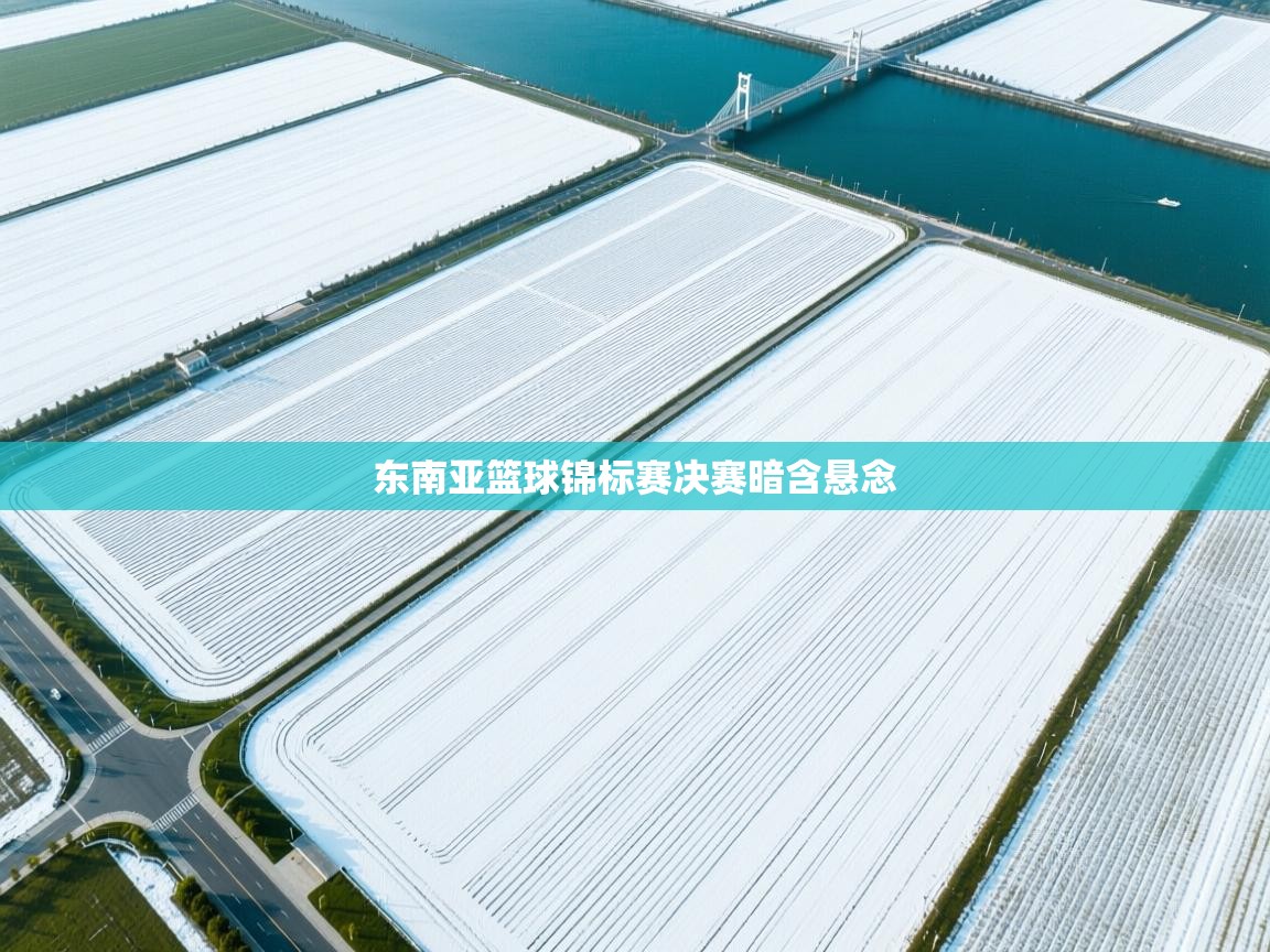 东南亚篮球锦标赛决赛暗含悬念 第1张